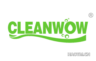  CLEANWOW