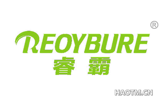 睿霸 REOYBURE