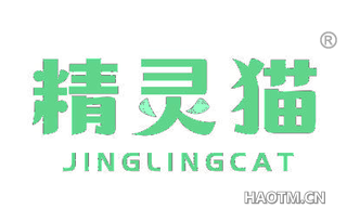 精灵猫 JINGLINGCAT