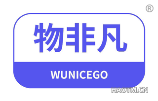 物非凡 WUNICEGO