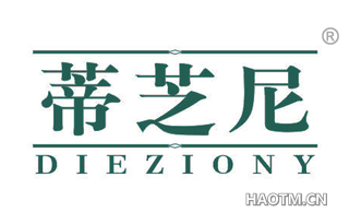 蒂芝尼 DIEZIONY