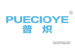 普炽 PUECIOYE