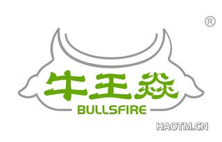 牛王焱 BULLSFIRE