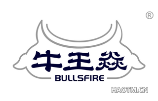 牛王焱 BULLSFIRE