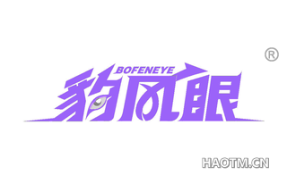 豹风眼 BOFENEYE