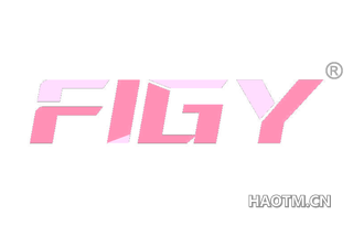  FIGY