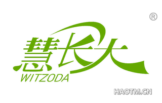 慧长大 WITZODA