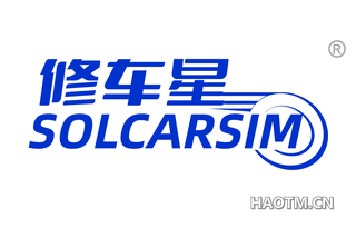 修车星 SOLCARSIM