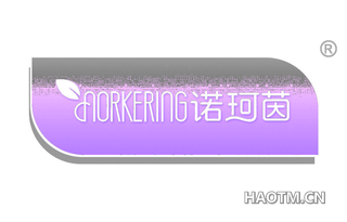 诺珂茵 NORKERING