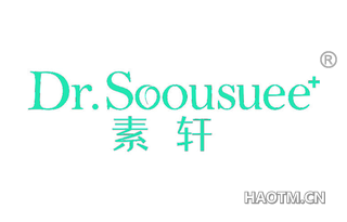 素轩 DR SOOUSUEE