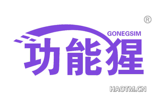 功能猩 GONEGSIM