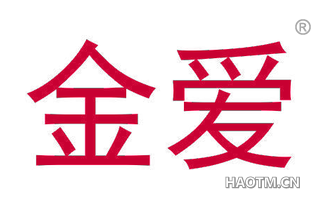 金爱 