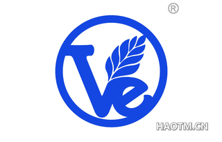 VE图形