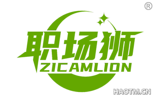 职场狮 ZICAMLION