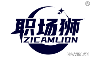 职场狮 ZICAMLION