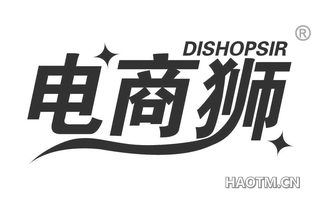 电商狮 DISHOPSIR