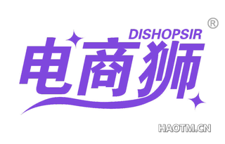 电商狮 DISHOPSIR