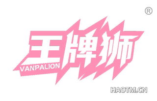 王牌狮 VANPALION