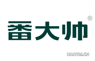 番大帅 