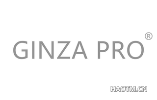 GINZA PRO