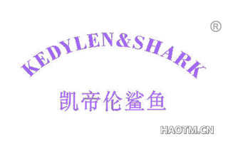 凯帝伦鲨鱼 KEDYLEN  SHARK