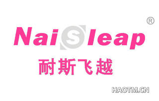 耐斯飞越 NAISLEAP