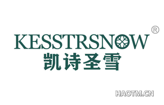 凯诗圣雪 KESSTRSNOW