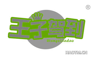 王子驾到 WANGZIJIADAO