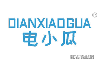 电小瓜 DIANXIAOGUA