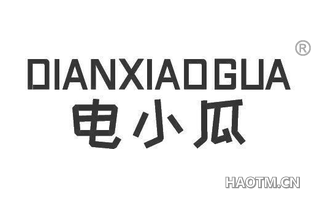 电小瓜 DIANXIAOGUA