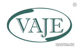  VAJE