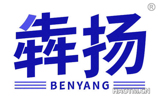 犇扬 BENYANG