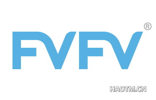  FVFV