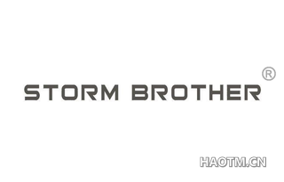 STORM BROTHER