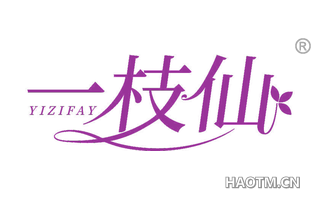 一枝仙 YIZIFAY