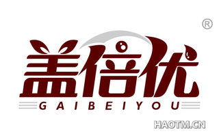 盖倍优 GAIBEIYOU