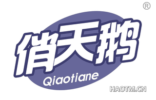 俏天鹅 QIAOTIANE