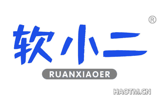 软小二 RUANXIAOER