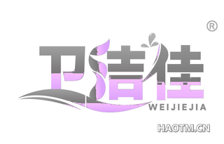 卫洁佳 WEIJIEJIA