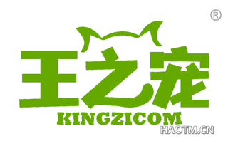 王之宠 KINGZICOM