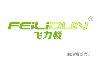 飞力顿 FEILIDUN