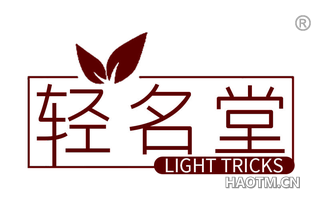 轻名堂 LIGHT TRICKS