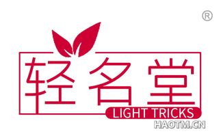 轻名堂 LIGHT TRICKS