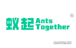 蚁起 ANTS TOGETHER