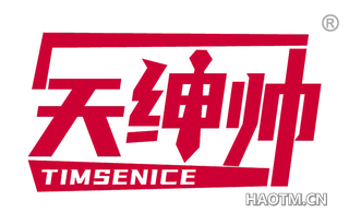 天绅帅 TIMSENICE