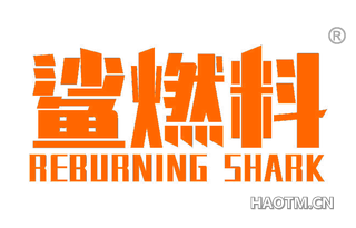 鲨燃料 REBURNING SHARK