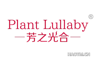 芳之光合 PLANT LULLABY