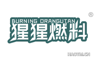 猩猩燃料 BURNING ORANGUTAN