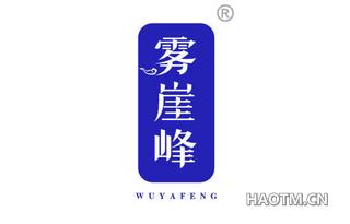 雾崖峰 WUYAFENG