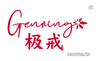 极戒 GENRING